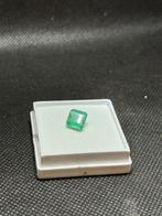Groen Smaragd - 2.49 ct - International Gemological, Nieuw