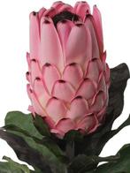 Protea Baardsuikerbos 12 cm met geflockte steel 75 cm, Ophalen of Verzenden, Nieuw