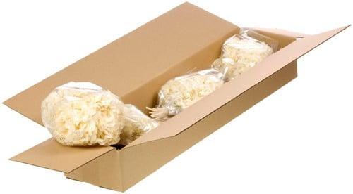 Hydrangea preserved gepreserveerde hortensia sb bleached, Huis en Inrichting, Woonaccessoires | Kunstplanten en Kunstbloemen, Nieuw