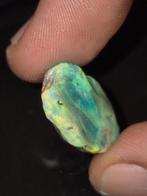 16 cts Australian opal Ruw - Hoogte: 2.4 cm - Breedte: 1.6, Verzamelen, Mineralen en Fossielen