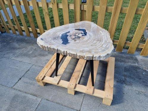 Tafel - Metaal, versteend hout - XL Fossiel Hout, Antiek en Kunst, Kunst | Designobjecten