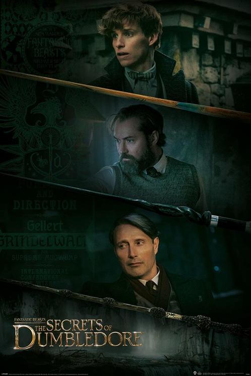 Poster Fantastic Beasts The Secrets of Dumbledore Three, Verzamelen, Posters, Nieuw, A1 t/m A3, Verzenden