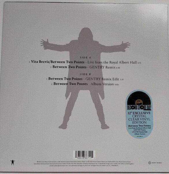David Gilmour - Between two points 12 esclusive crystal, Cd's en Dvd's, Vinyl Singles
