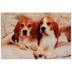 3d poster Beagles NIEUW, Ophalen of Verzenden, Nieuw