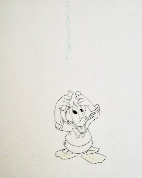 DISNEY - Donald Duck - Oorspronkelijke animatie tekening -, Verzamelen, Disney