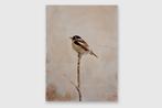 Matthieu van Riel - Bird on a Branch, Antiek en Kunst