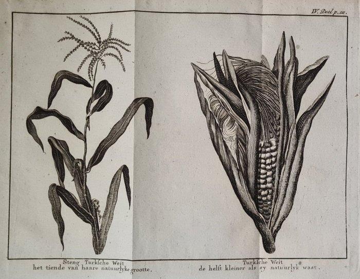 [Antoine Pluche] & Pieter le Clercq (vert.) - Schouwtoneel, Antiek en Kunst, Antiek | Boeken en Bijbels