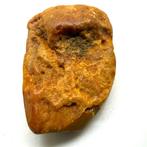 Natuurlijk koninklijk wit patroon Baltische ambersteen -, Verzamelen