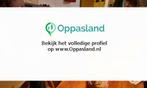Godfried zoekt een oppas in Lent voor 2 kinderen op dinsd..., Vacatures, Vacatures | Klantenservice en Callcenter