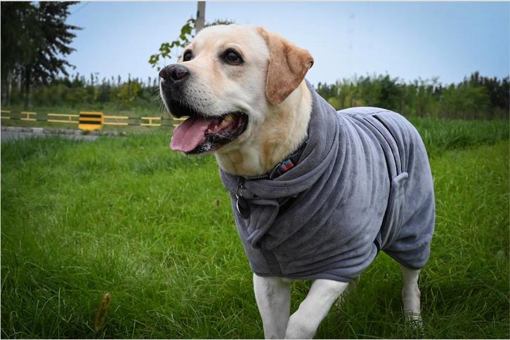 Honden Badjas Grijs (Hondenkleding), Dieren en Toebehoren, Hondenkleding, Hondenbadjas, Nieuw, Ophalen of Verzenden