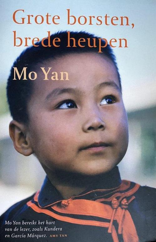 Grote Borsten Brede Heupen, Boeken, Overige Boeken, Ophalen of Verzenden