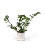 HEMA Bloempot Ø15.5x12cm metaal wit van €8.59 voor €5 sale, Huis en Inrichting, Kamerplanten, Verzenden