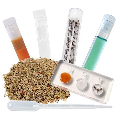 Voeding set deluxe inclusief zaden, Dieren en Toebehoren, Insecten en Spinnen