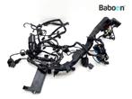 Kabelboom Triumph Street Triple 765 RS 2017-2019 (800262>, Verzenden, Gebruikt