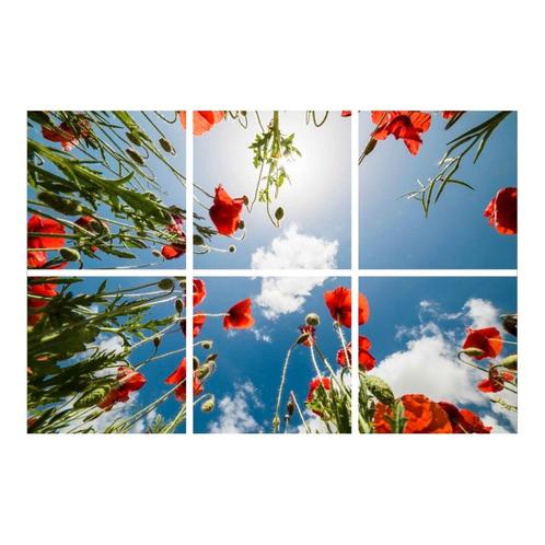 Klaprozen plafond | Fotoprint | verdeeld over 6 panelen, Zakelijke goederen, Kantoor en Winkelinrichting | Kantoormeubilair en Inrichting