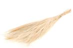 BROOM GRASS 100GR 65CM Bleached Graspluimen, Hobby en Vrije tijd, Knutselen, Ophalen of Verzenden, Nieuw
