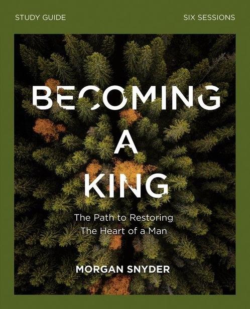 Becoming a King Study Guide, Boeken, Studieboeken en Cursussen, Verzenden