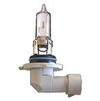Gloeilamp HB3 12V 65W P20d, Ophalen of Verzenden, Nieuw
