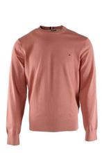 Tommy Hilfiger trui maat L, Maat 52/54 (L), Verzenden, Tommy Hilfiger, Nieuw