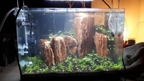 Red Wood stone 10-15cm - aquarium decoratie stenen, Dieren en Toebehoren, Vissen | Aquaria en Toebehoren, Plant(en), Steen of Hout