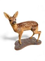Roe Deer Fawn Taxidermie volledige montage - Capreolus, Antiek en Kunst