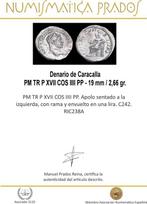 Romeinse Rijk. Caracalla (198-217 n.Chr.). Denarius Roma -, Postzegels en Munten