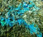CW1842 Colorata Carbonatocianotrichite Kristallen op matrix, Verzamelen, Mineralen en Fossielen