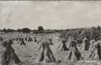LOCHEM - Bergglooing, Verzenden, Gelopen