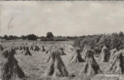 LOCHEM - Bergglooing, Verzamelen, Ansichtkaarten | Nederland, Verzenden
