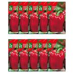 Paprikazaad | VT | 10 stuks (Rood), Verzenden