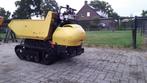 Rupsdumper yanmar c10