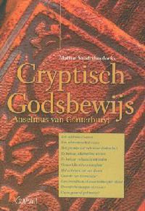 Cryptisch Godsbewijs 9789044110999 Mattias Vanderhoydonks, Boeken, Filosofie, Gelezen, Verzenden