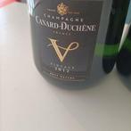 2012 Canard-Duchêne, V Vintage 2012 Brut Nature - Champagne, Nieuw