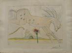 Salvador Dali (1904-1989) - Le Cheval et le Loup, Antiek en Kunst