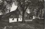 BERGEN N. H. - N. H. Mus, Verzamelen, Verzenden, Gelopen