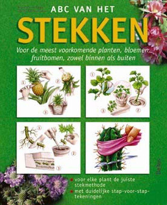 ABC van het stekken 9789024381258 R. le Page, Boeken, Hobby en Vrije tijd, Gelezen, Verzenden