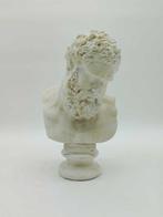 sculptuur, Busto dellercole farnese - 29 cm - marmeren stof, Antiek en Kunst, Curiosa en Brocante