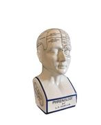 Beeld, Phrenology Head 28.5cm - 28.5 cm - Porselein