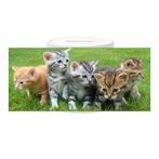 Spaarpot - Groepje Kittens op Gras NIEUW, Verzamelen, Ophalen of Verzenden, Nieuw