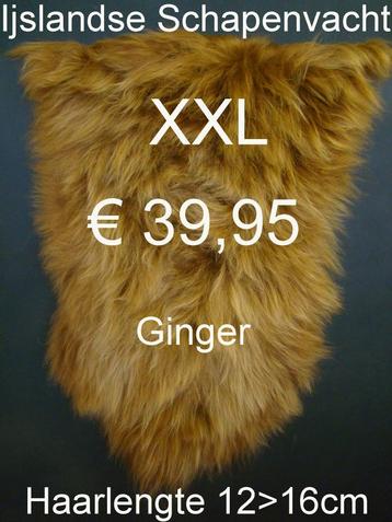 Schapenvacht IJSLANDSE GINGER BREEZE XXL Schapenvel € 39,95