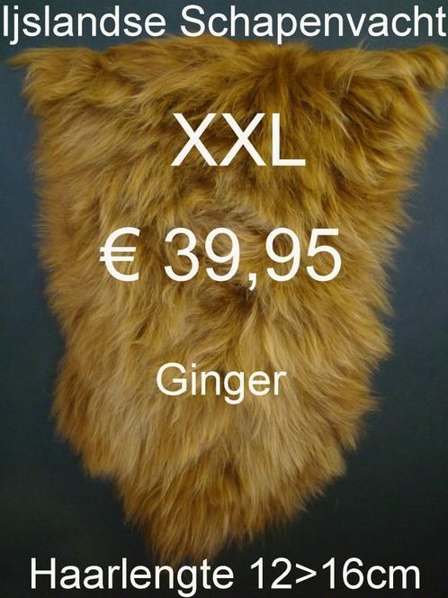 Schapenvacht IJSLANDSE GINGER BREEZE XXL Schapenvel € 39,95, Huis en Inrichting, Woonaccessoires | Overige, Nieuw, Ophalen of Verzenden