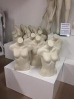 Nieuwe dames torso, Zakelijke goederen, Kantoor en Winkelinrichting | Winkel en Inventaris