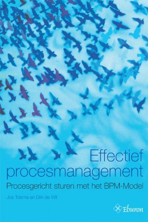 Effectief procesmanagement 9789059722903 Dirk de Wit, Boeken, Economie, Management en Marketing, Gelezen, Verzenden