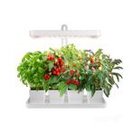 LED Kweeklamp BLOOM 20W - 3500K - Complete Set voor Kruid..., Ophalen of Verzenden, Nieuw