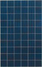 Jinko Solar Eagle 270wp Silver Frame, Ophalen of Verzenden, Nieuw