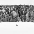 Rosario Civello - Signs #29 - Morning Silence