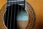Grand Shinano - GF180 - - Flamenco gitaar - Japan - 1970, Muziek en Instrumenten, Nieuw