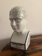 Medisch instrument - Porselein - Schedel leer - Phrenology, Antiek en Kunst