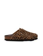 Scholl slippers dames 42 bruin, Scholl, Verzenden, Nieuw, Bruin