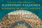 Koningin op blote voeten / Dwarsligger / 499 9789049806064, Verzenden, Gelezen, Ildefonso Falcones